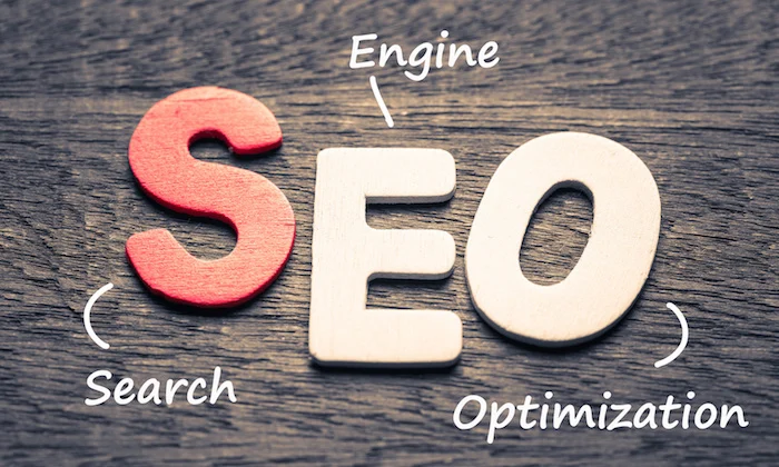 SEO Agency in Jaipur